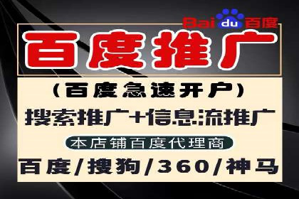 成功案例：一家企业如何通过百度关键词推广实现业绩翻倍